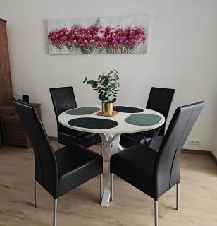 Cosy 2 bedroom apartment with private garden - Bruxelles - 9