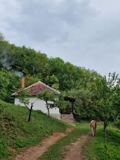 Domaćinstvo Ristović - Banovo Polje - 0
