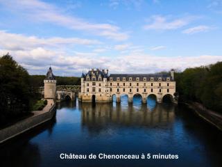 Le chant des bois - à 5 min du Château de Chenonceau - Chisseaux - 1
