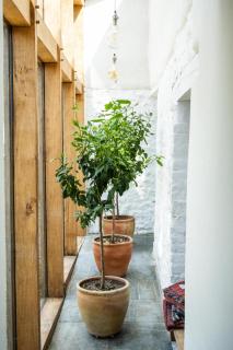 River Cottage HQ - Musbury - 3