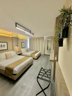 Exclusive 409 - Aguascalientes - 1
