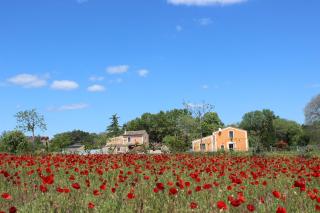 Maison Abricot et Orange - Aspiran - 0
