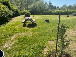 Misty River RV Park - Tillamook - 3