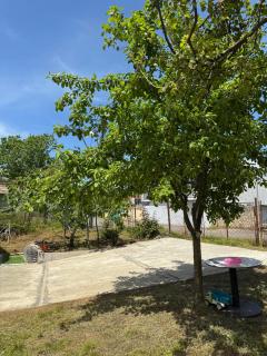 Green Field Cottage,Chakvi - Batumi - 8