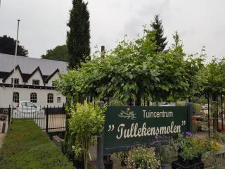 Chalet for 4 persons in Beekbergen - Beekbergen - 3