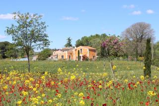 Maison Abricot et Orange - Aspiran - 4