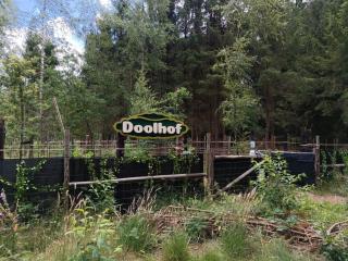 Pet-friendly chalet in Beekbergen - Beekbergen - 1