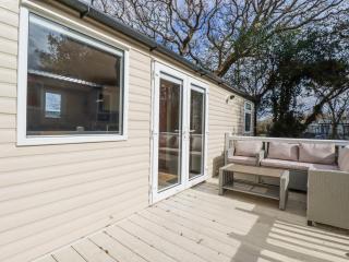 No 15 Maple Forest - Newquay - 9
