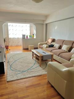 Valcea Northside Spacious Apartment - Râmnicu Vâlcea - 4