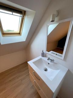 Longere avec Menhirs et Moutons Ouessant - 9