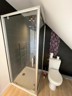 Longere avec Menhirs et Moutons Ouessant - 8