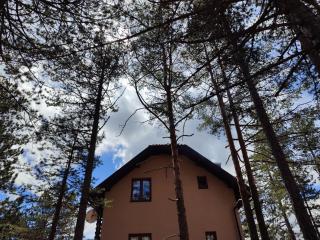 Apartman Sofija - Kaludjerske Bare - 1