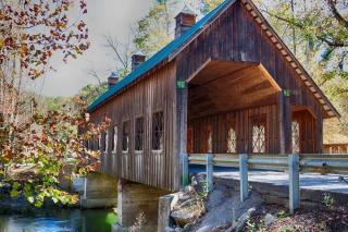 Bears in the Mist by Avada Properties - 8