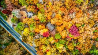 Bearly Livin by Avada Properties - Sevierville - 8