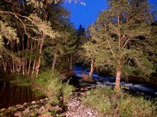 Rushing River Retreat - 9