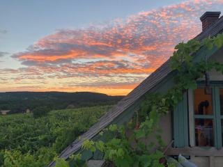 Cottage overlooking lake Balaton - Tora nezo haziko - 9