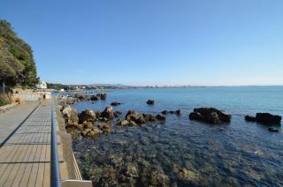 La Pineta - Castiglioncello - 9