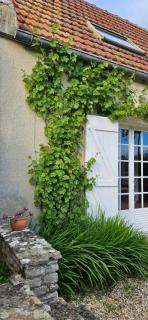 La petite chouette - Saint-Côme-de-Fresné - 7