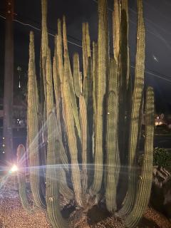 Desert Mountain Oasis - Palm Springs - 4