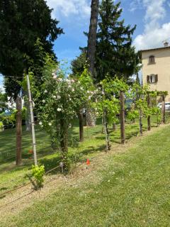 Le Due Querce - Vicolo Rancolfo - 4