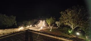 Antichi Saperi - Villa con piscina Cisternino - Cisternino - 2