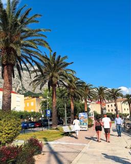 Apartments Olga 2 - Makarska - 5