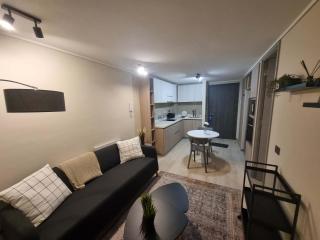Stylish Downtown Santiago Studio for 2 - Santiago - 5