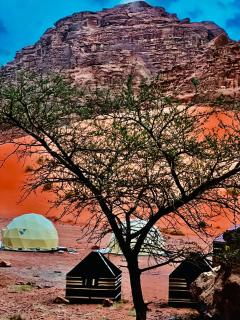 wadi Rum Spirit of Peace Camp - Wadi Rum - 9