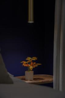 mazar - Riad - 4