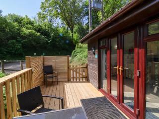 Chalet Log Cabin C9 - Ilfracombe - 9