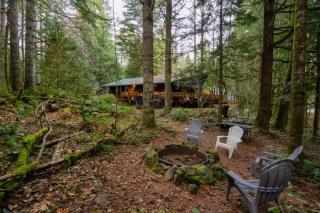 Mid-century Cabin Hideaway - Hot Tub & Fire Pit - Rhododendron - 8