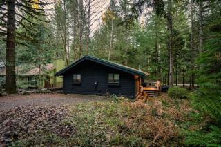 Mid-century Cabin Hideaway - Hot Tub & Fire Pit - Rhododendron - 6