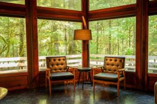 Mid-century Cabin Hideaway - Hot Tub & Fire Pit - Rhododendron - 4