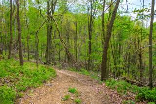 Cabin with Trail Access to Mohican River - - 9