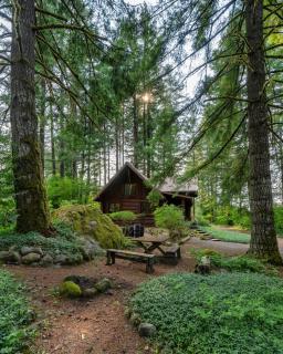 Basecamp Compound - Hot Tubs & Highland Cows - Mount Hood Village - 1