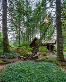Mt Hood Log Cabin! Fresh Remodel with Airstream 1 - Mount Hood Village - 1