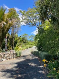 Birdsong - Motueka - 0