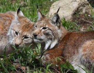 City Fewo Stricker - 7