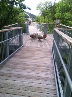 City Fewo Stricker - 6