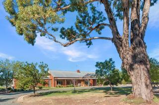 Nepeta Cataria Estate - Echuca Holiday Homes - Moama - 2