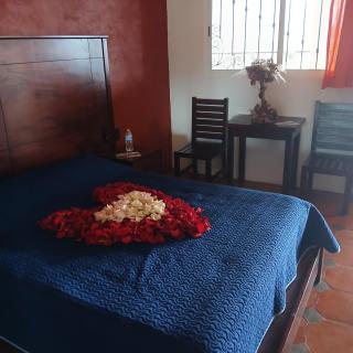Hotel Alondra y Eventos - Los Laureles - 9