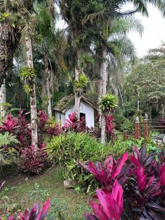 Sítio Mendes - Embu-Guaçu - 3