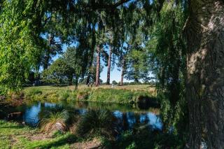 New Three Bedroom Townhouse - Walk to the CBD! - Christchurch - 2