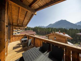 Nationalpark Chalet Löffelspitze - Neukirchen am Grossvenediger - 0