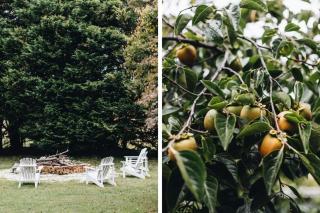 Coromandel Homestead, Berrima - Berrima - 4