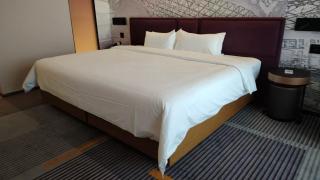 Hampton by Hilton Guangzhou Zhujiang New Town - Free Shuttle Bus to Canton Fair - Guangzhou - 5