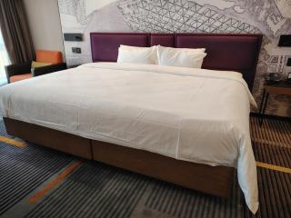 Hampton by Hilton Guangzhou Zhujiang New Town - Free Shuttle Bus to Canton Fair - Guangzhou - 7