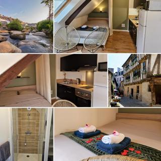 Logement de caractère en haute ville de Quimperlé - Quimperlé - 6