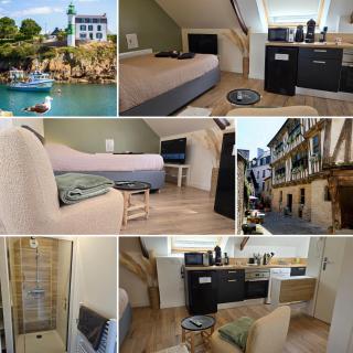 Logement de caractère en haute ville de Quimperlé - Quimperlé - 7