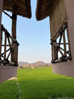 Full Moon Resort Hampi - Hampi - 5